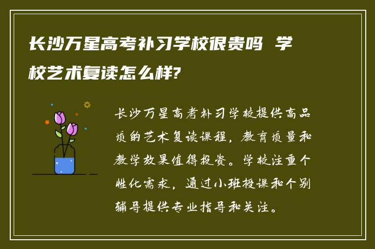 长沙万星高考补习学校很贵吗 学校艺术复读怎么样?