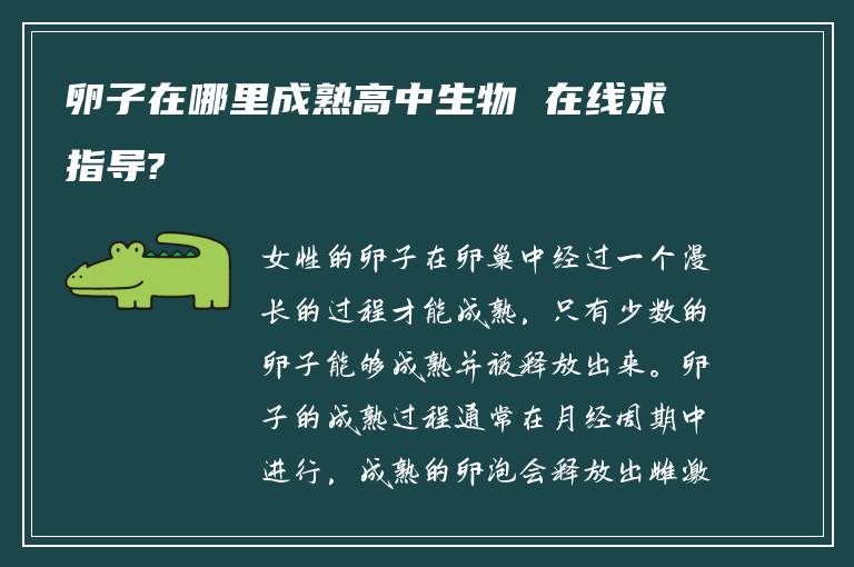 卵子在哪里成熟高中生物 在线求指导?