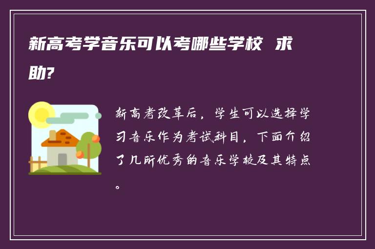 新高考学音乐可以考哪些学校 求助?