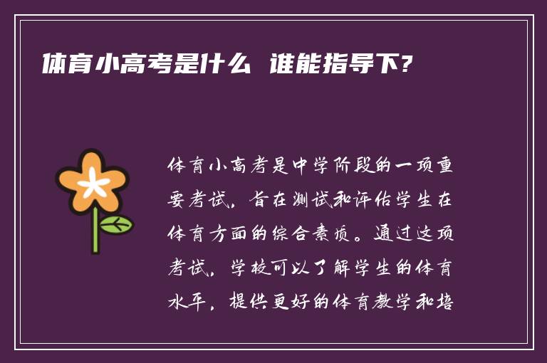 体育小高考是什么 谁能指导下?