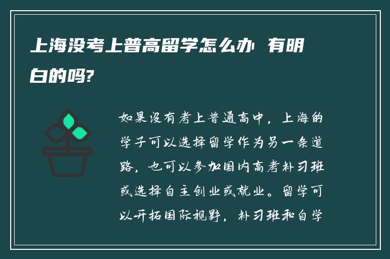 上海没考上普高留学怎么办 有明白的吗?