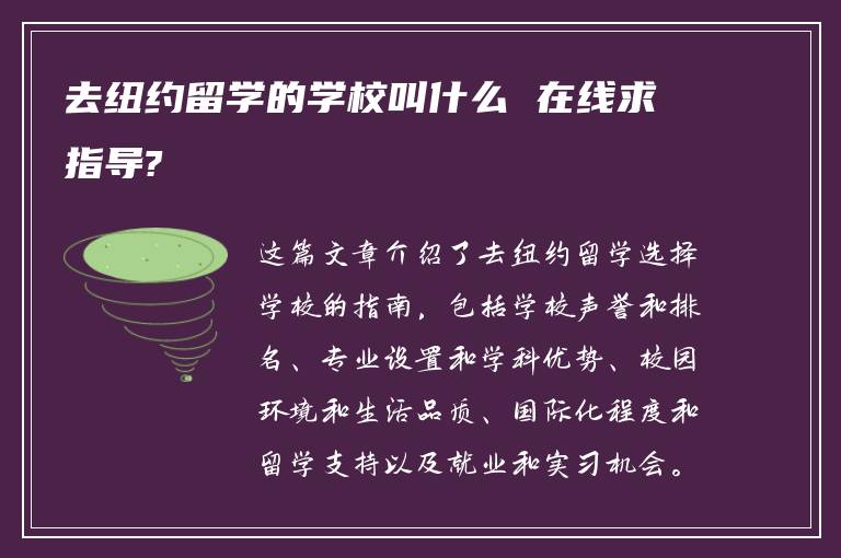 去纽约留学的学校叫什么 在线求指导?